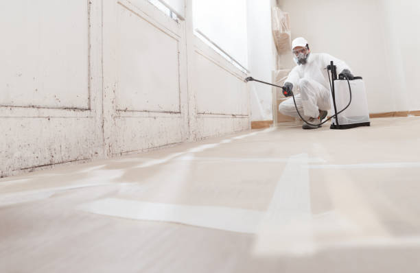 24/7 Emergency Mold Remediation experts in Poquoson, VA