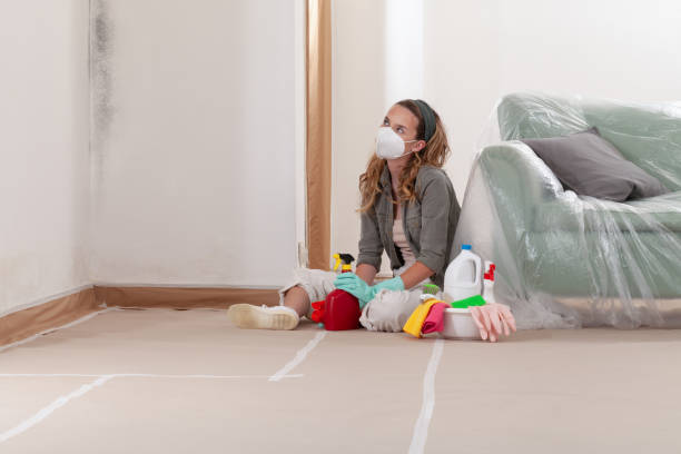 Reliable Mold Remediation contractor in Poquoson, VA by Cheap Mold Removal