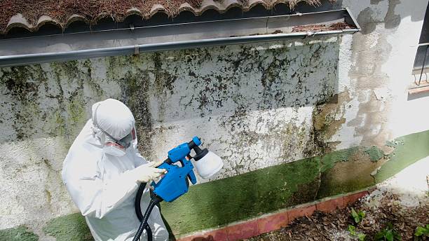 Trusted Mold Remediation service in Poquoson, VA - Cheap Mold Removal